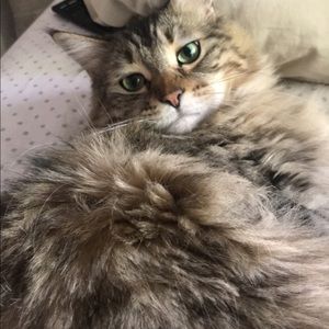 Meet your Posher, Elisabeth